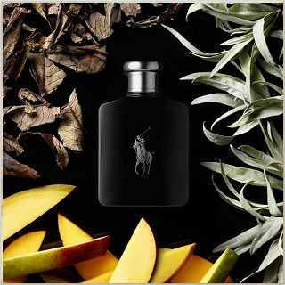 Polo Black Ralph Lauren for men