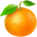 Italian Mandarin 