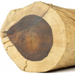 چوب رز برزیلی