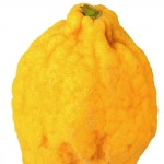 نوعی لیمو