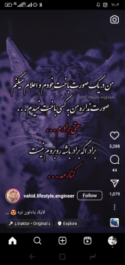 profile cover وحید مرادی 